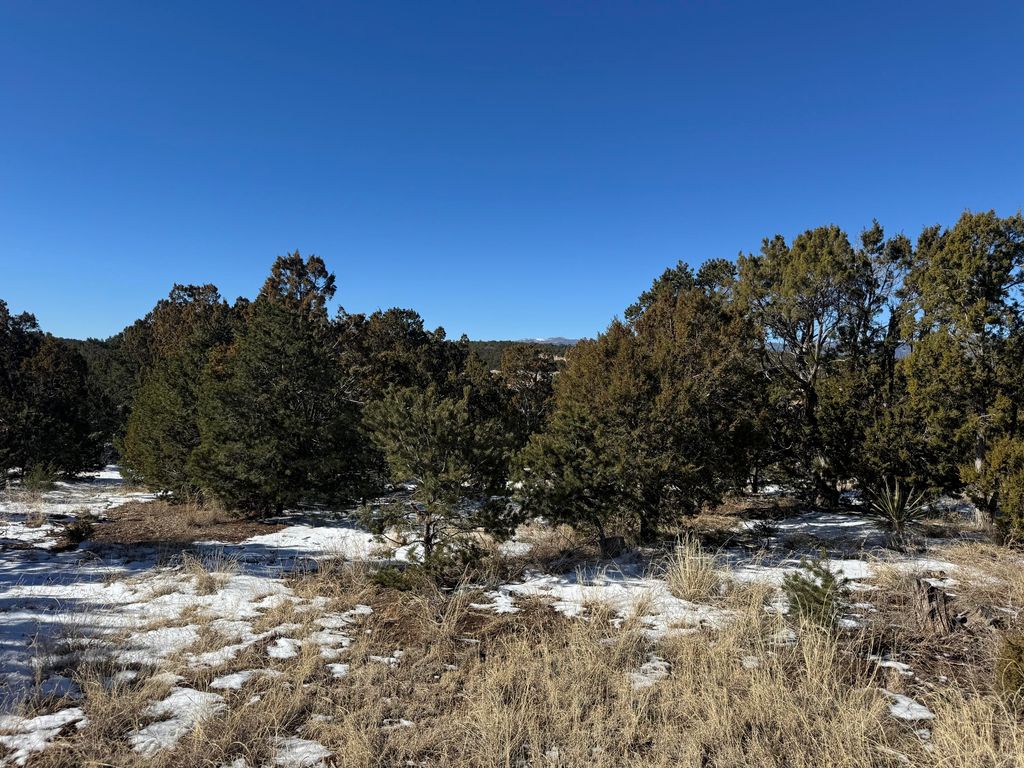 21 PUNCH Court, Tijeras, NM 87059