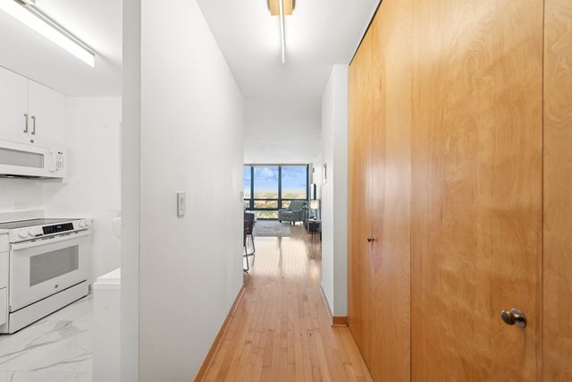 1636 N WELLS Street 3008, Chicago, IL 60614
