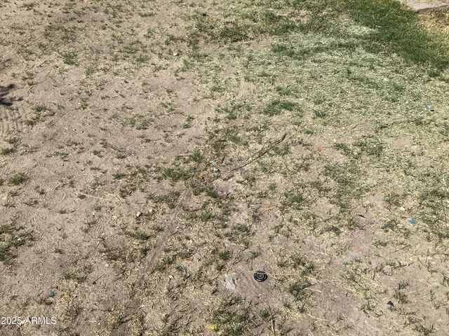 550 N BOWIE Avenue, Willcox, AZ 85643