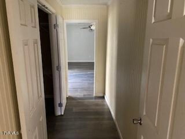 167 Bill Lewis Road, Elizabethton, TN 37643