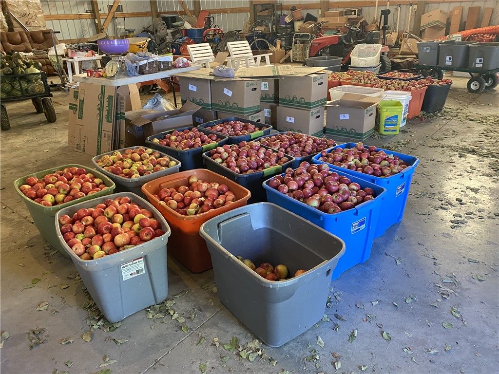 157 Hergenrider ROAD, Bridger, MT 59014 photo 28