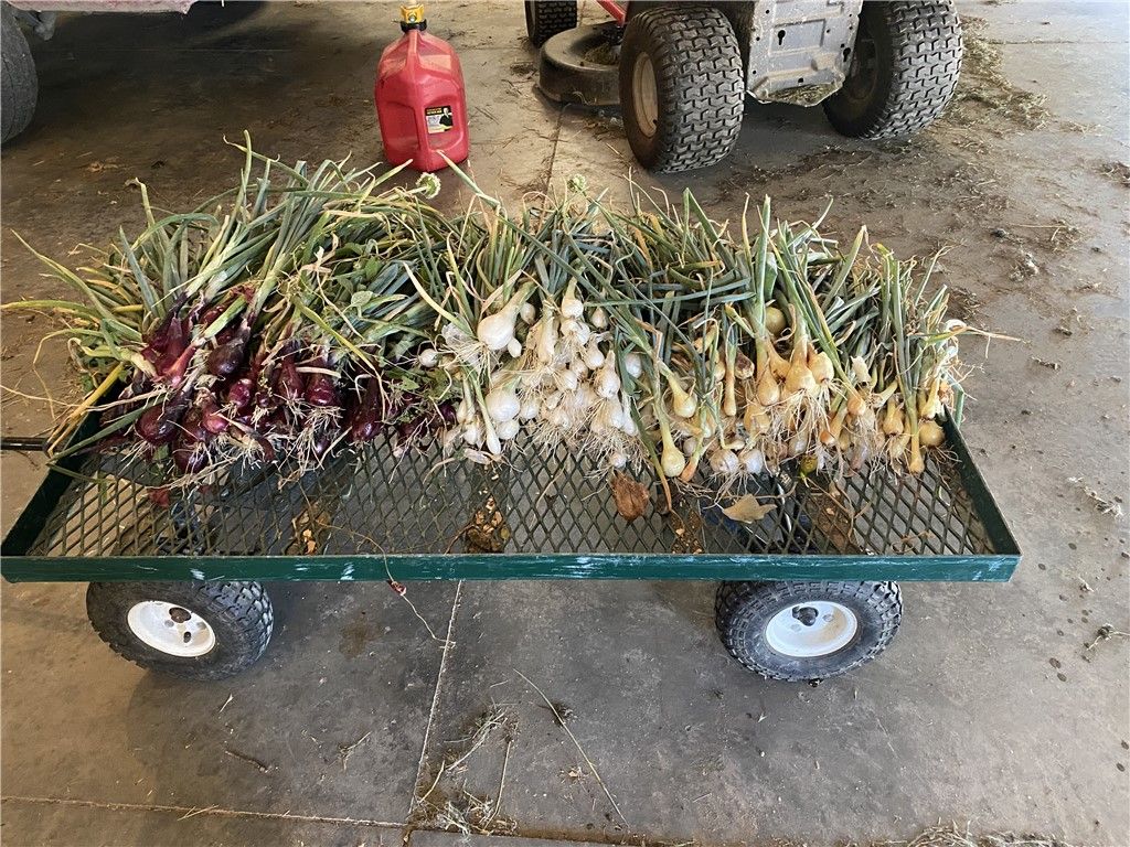 157 Hergenrider ROAD, Bridger, MT 59014 photo 29