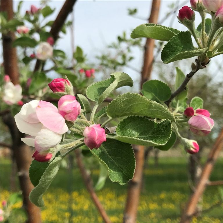 157 Hergenrider ROAD, Bridger, MT 59014 photo 33