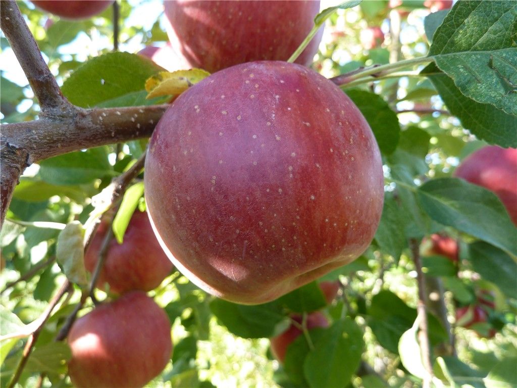 157 Hergenrider ROAD, Bridger, MT 59014 photo 34