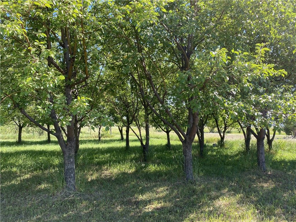 157 Hergenrider ROAD, Bridger, MT 59014 photo 36