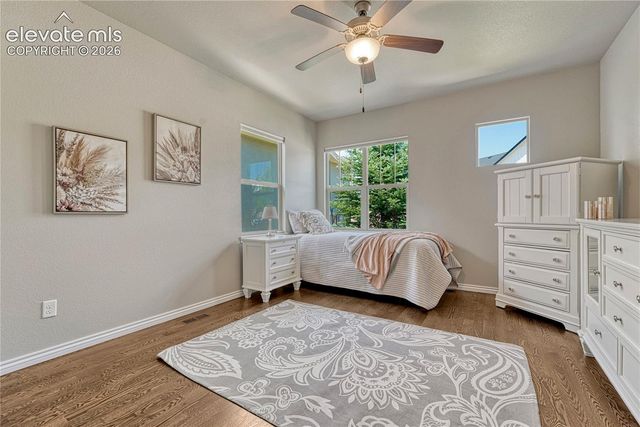 1123 Giacomo Court, Colorado Springs, CO 80921
