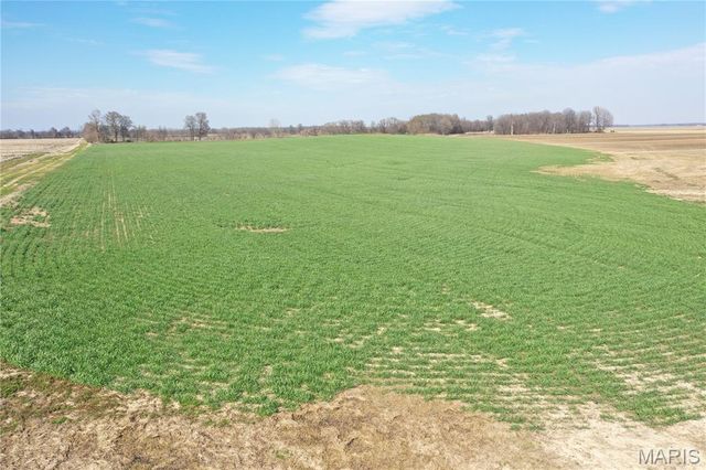 TBD Clay County Road 172, Success, AR 72470