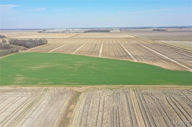 TBD Clay County Road 172, Success, AR 72470