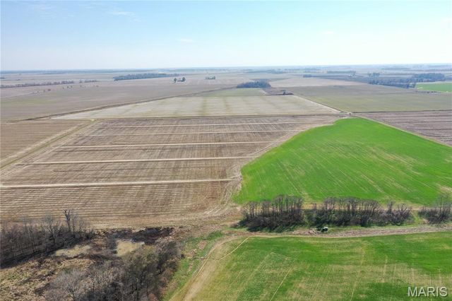 TBD Clay County Road 172, Success, AR 72470