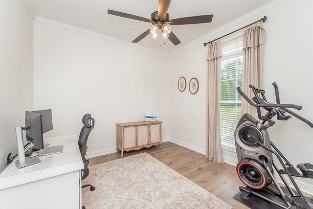 20204 Palmer Rd, Livingston, LA 70754