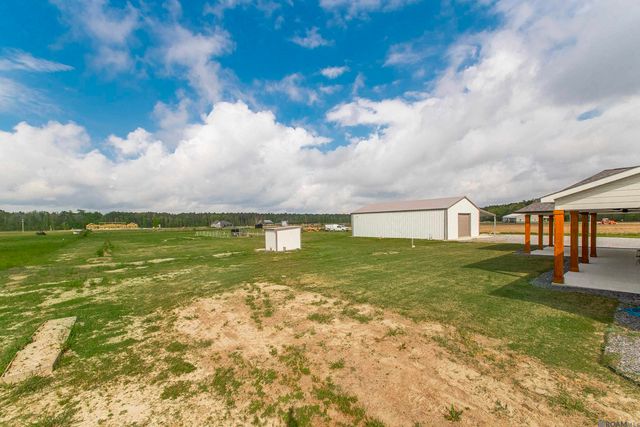 20204 Palmer Rd, Livingston, LA 70754