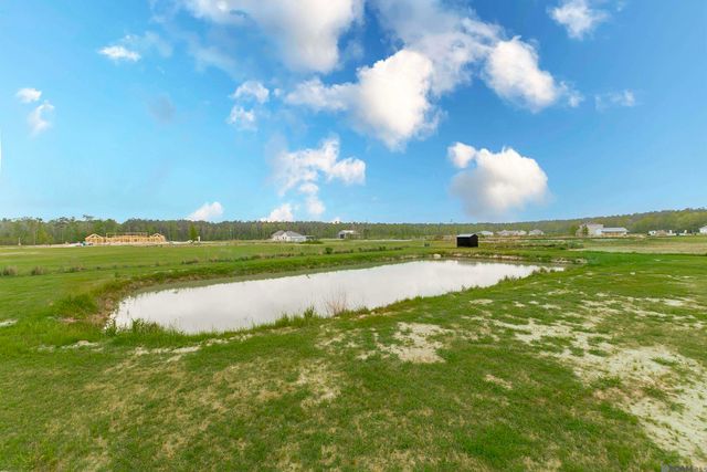 20204 Palmer Rd, Livingston, LA 70754