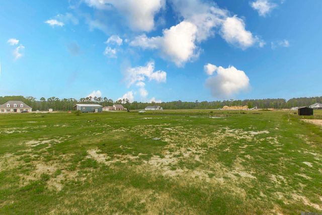 20204 Palmer Rd, Livingston, LA 70754