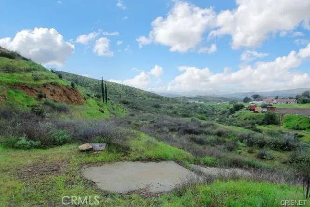 13912 N Mesa Alta, Kagel Canyon, CA 91342