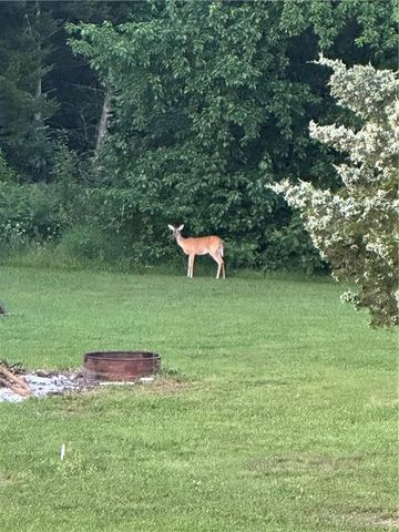 3 Cedars Street, Freeman, MO 64746