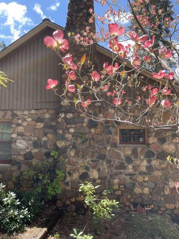 180 Dutch Flat Rd, Dutch Flat, CA 95714