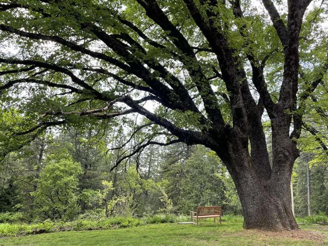 180 Dutch Flat Rd, Dutch Flat, CA 95714