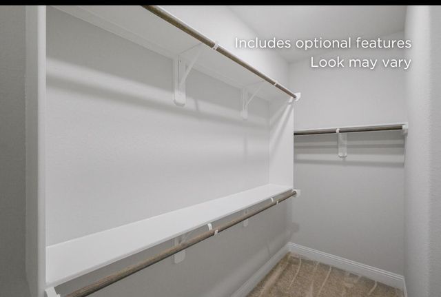 26714 Texas Lantana Lane, Montgomery, TX 77316