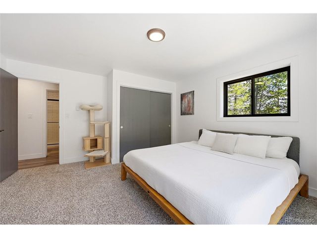 31556 Griffin Dr, Conifer, CO 80433