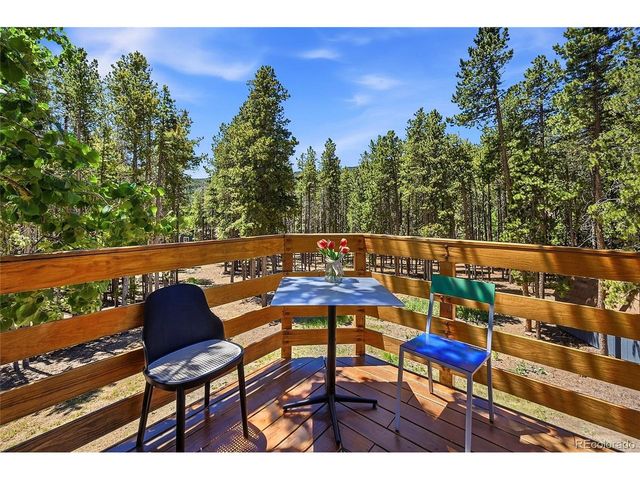 31556 Griffin Dr, Conifer, CO 80433