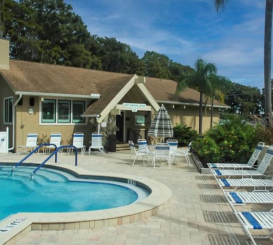 2954 CURLING COURT, Palm Harbor, FL 34684