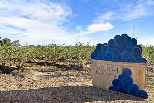 5288 W Kile, Lodi, CA 95242