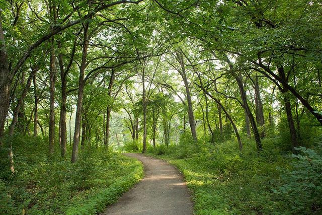 11216 Minnetonka Boulevard, Minnetonka, MN 55305