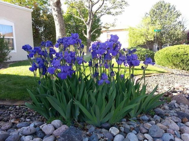 5100 Cordoniz Street NW, Albuquerque, NM 87120