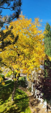 5100 Cordoniz Street NW, Albuquerque, NM 87120