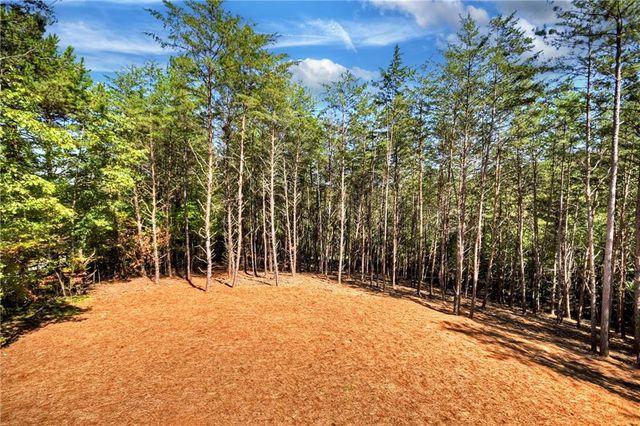 LOT 2 Brookhaven Lane, Mccaysville, GA 30513
