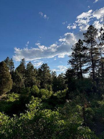 TBD Eagles 2A, Chama, NM 87520