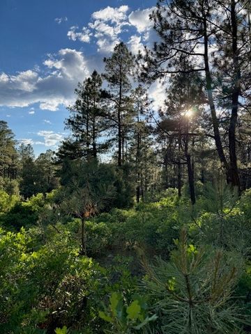 TBD Eagles 2A, Chama, NM 87520