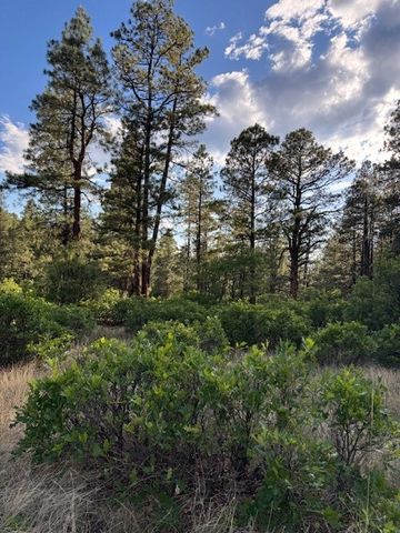 TBD Eagles 2A, Chama, NM 87520