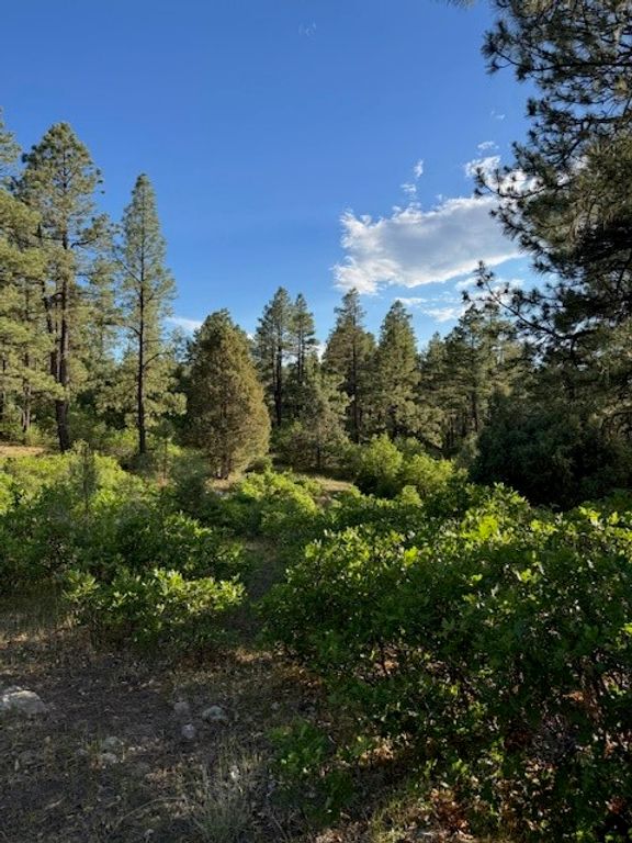 TBD Eagles 2A, Chama, NM 87520