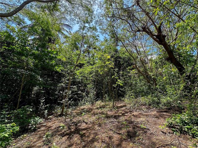 13 PR-997, Vieques, PR 00765