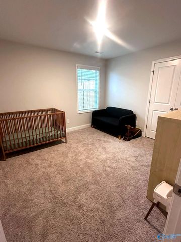 135 Ivy Vine Drive, Toney, AL 35773