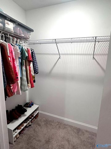 135 Ivy Vine Drive, Toney, AL 35773