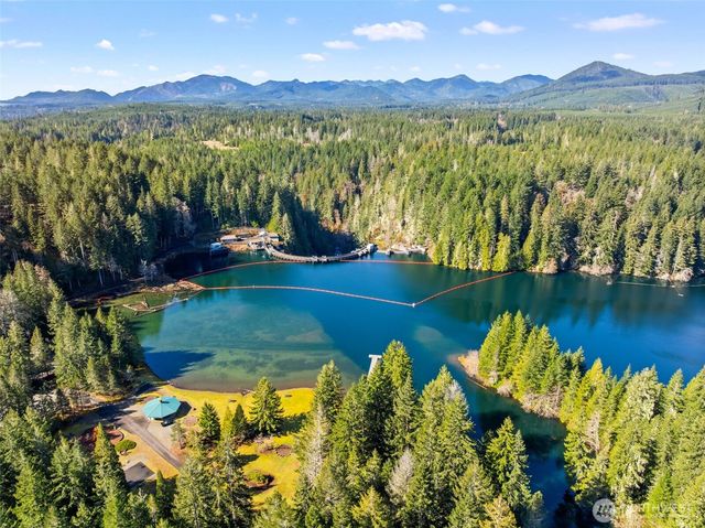 132 N Kokanee Cove Way, Hoodsport, WA 98548