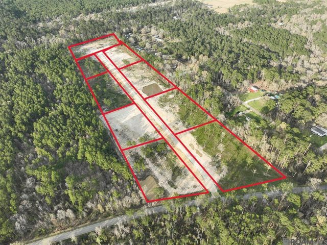 26507 Wagon Wheel Drive, Holden, LA 70744