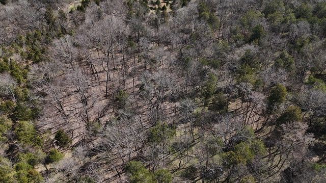 406A Harsh Ln, Castalian Springs, TN 37031