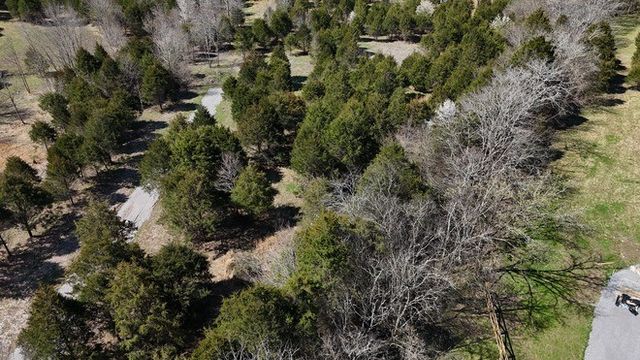 406A Harsh Ln, Castalian Springs, TN 37031