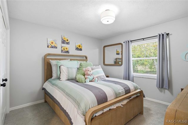 1141 N Cherry Pop Drive, Hernando, FL 34442