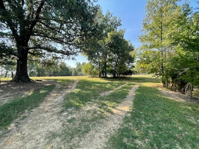 1484 OLD L & N RD, Stanton, TN 38069