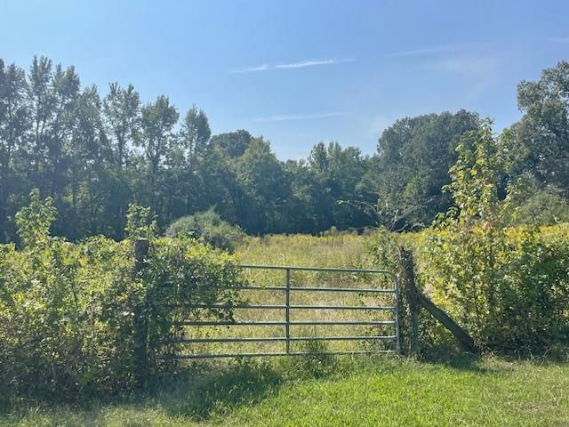 1484 OLD L & N RD, Stanton, TN 38069