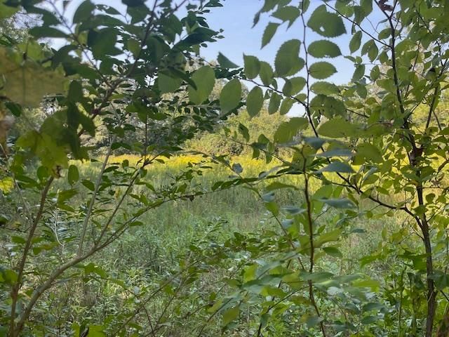 1484 OLD L & N RD, Stanton, TN 38069