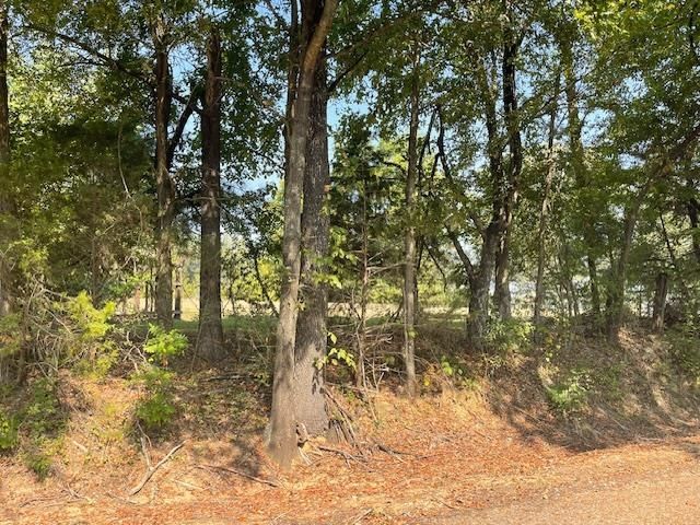 1484 OLD L & N RD, Stanton, TN 38069