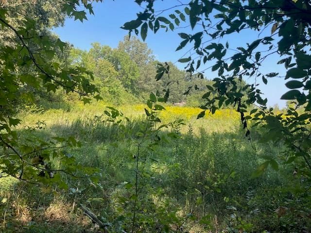 1484 OLD L & N RD, Stanton, TN 38069