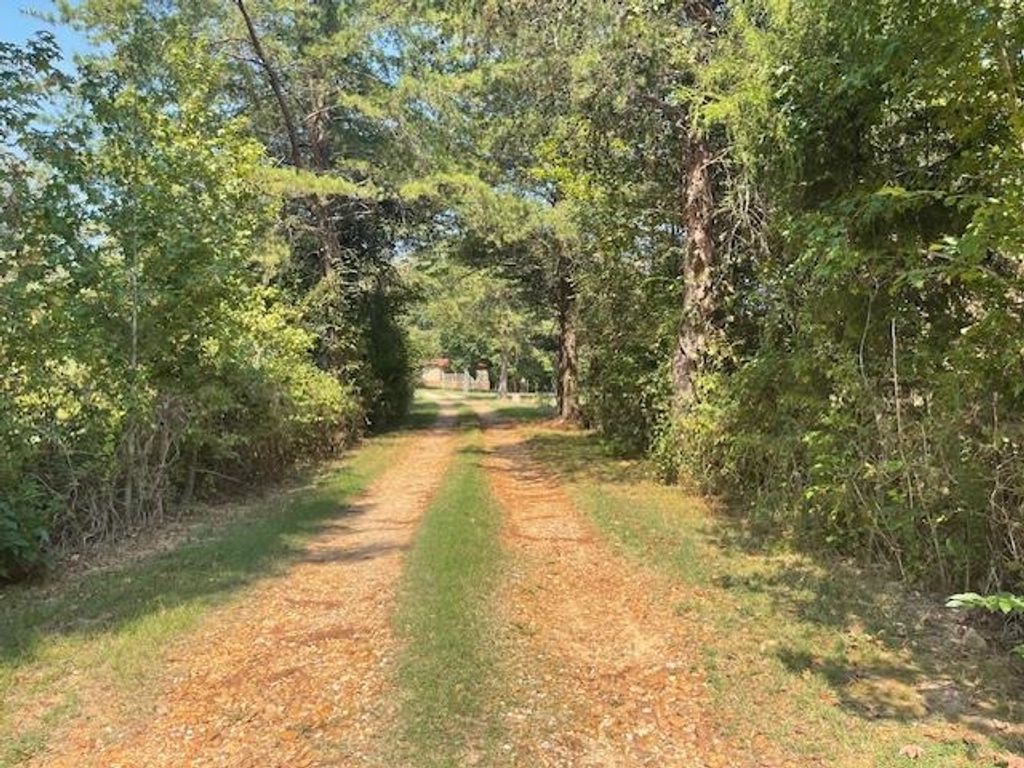 1484 OLD L & N RD, Stanton, TN 38069