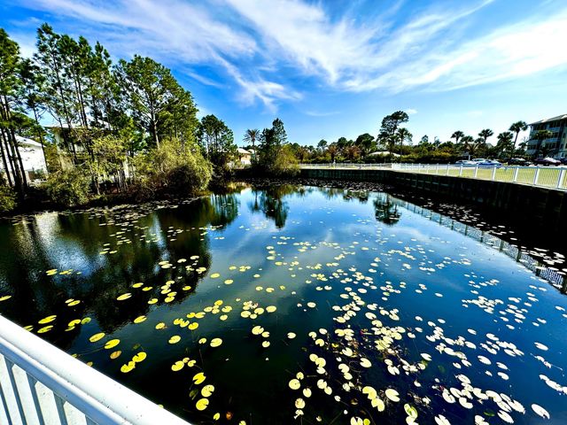 231 Somerset Bridge Road 1105, Santa Rosa Beach, FL 32459