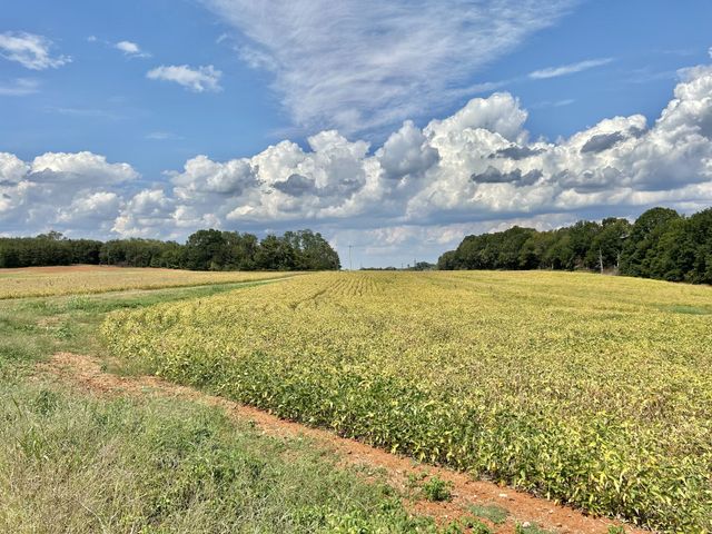 0 Nor Nan Rd, Decherd, TN 37324